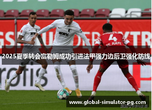 2025夏季转会富勒姆成功引进法甲强力边后卫强化防线 2025夏季转会富勒姆成功引进法甲强力边后卫强化防线